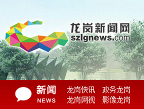 龍崗網(wǎng)官方網(wǎng)站設(shè)計(jì)制作