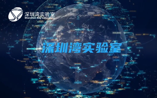 深圳灣實驗室平臺部官方網站設計制作