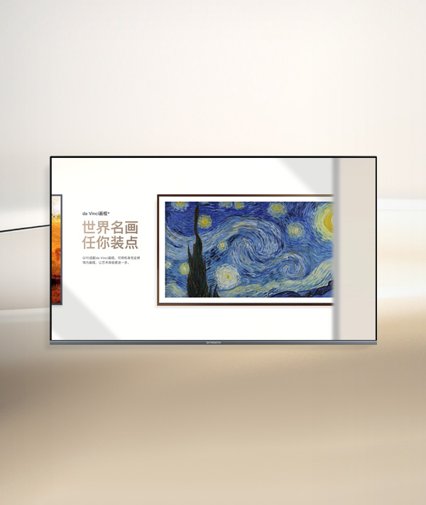 創維壁畫電視官方網站設計制作