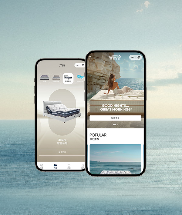 斯麗比迪（小程序）官方網站設計制作