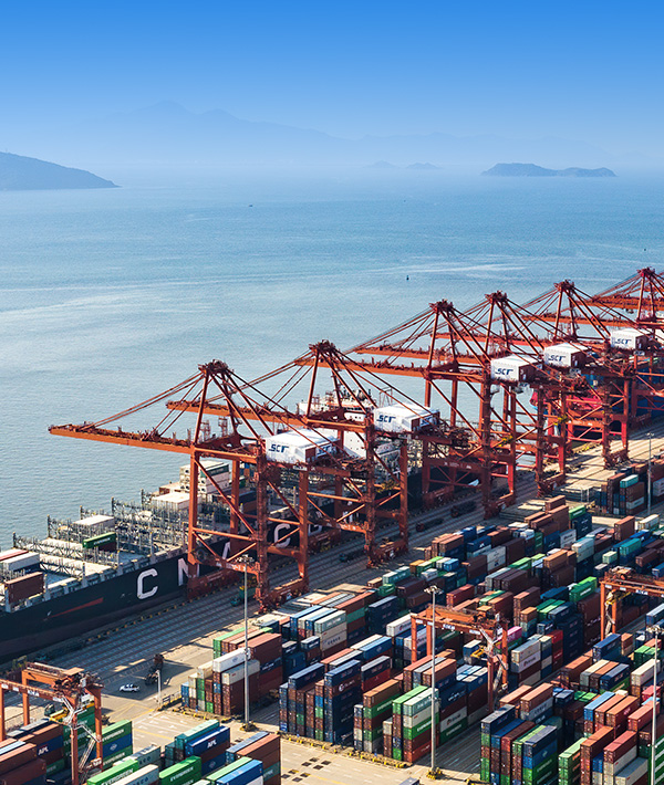 招商港口官方網(wǎng)站設(shè)計(jì)制作